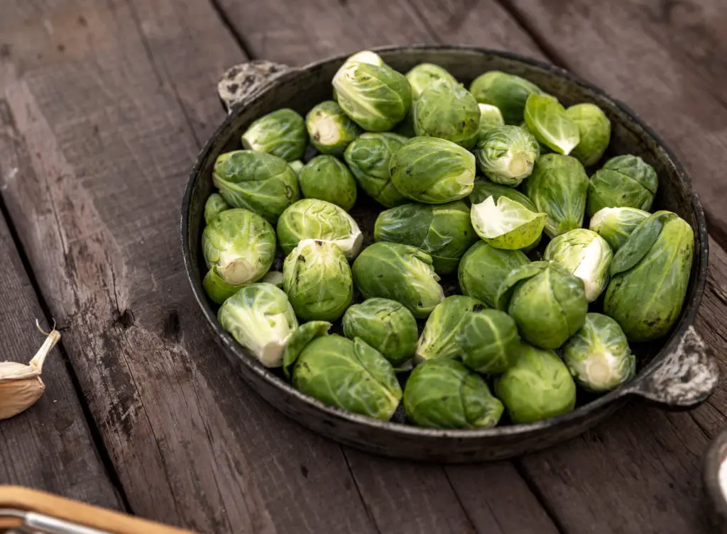 fresh brussels sprouts in a bowl