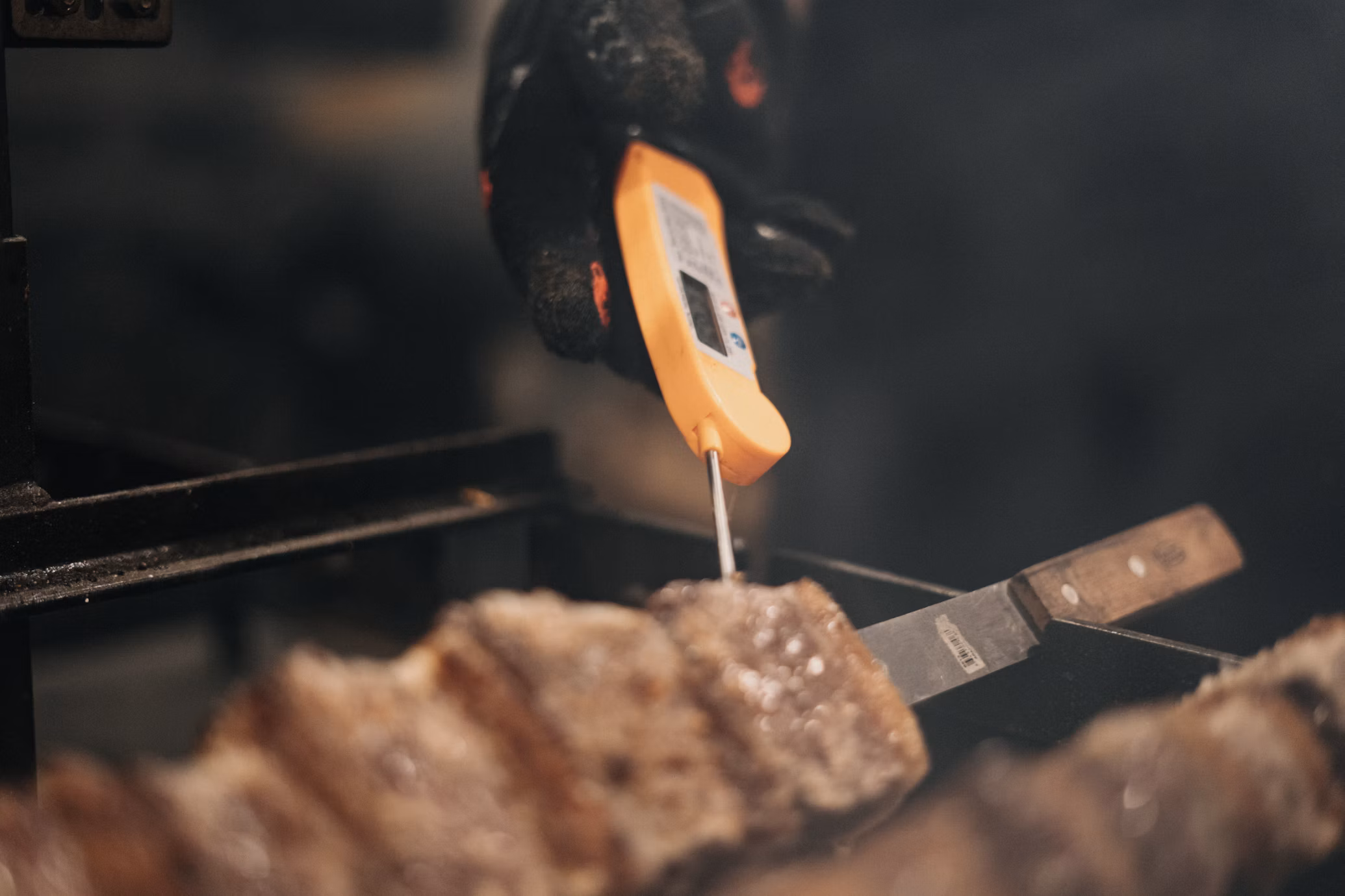 Meat Temperature Chart: Safe Internal Temps for Chicken, Pork, Beef & Fish thermapenone